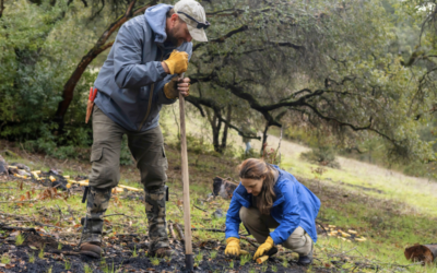 SEC Launches Tending the Land for Fire Resilience in Sonoma County